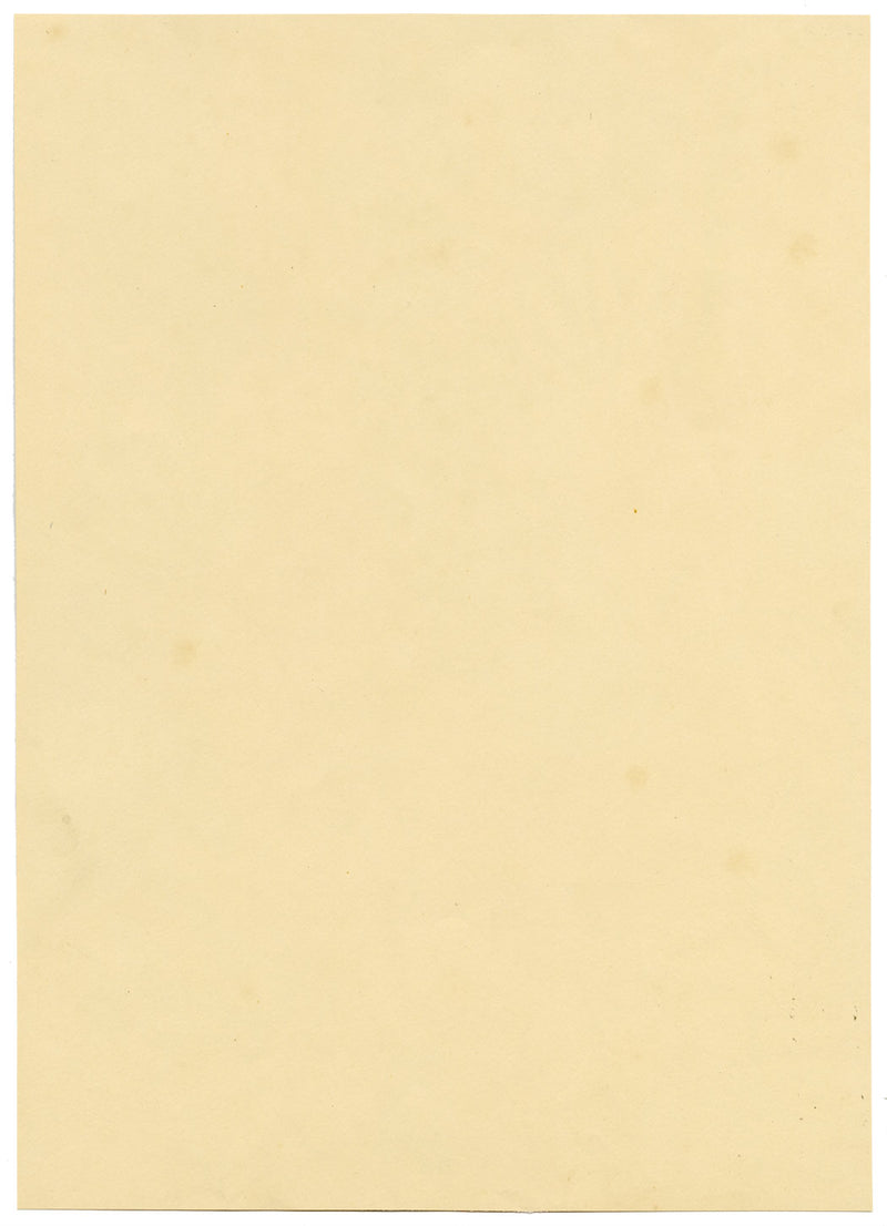 Jean Mary Ogilvie, Vintage Flower Bloom Pattern Design – disegno a pastello degli anni '30