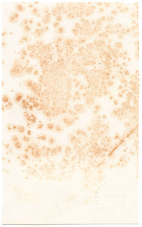 Elaine Williamson, Cerámica Poole, Diseño de plato de flores – acuarela de la década de 1980