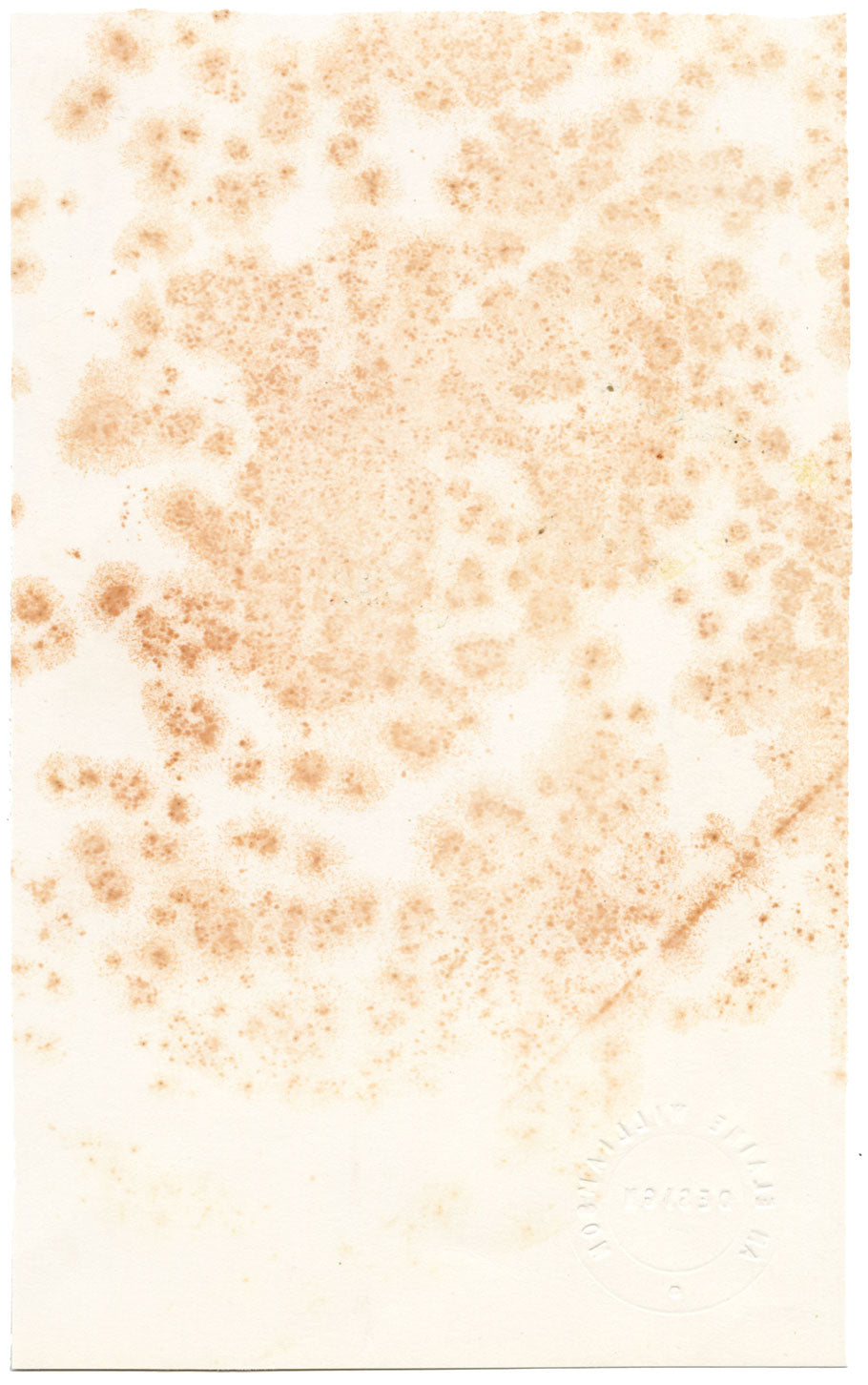 Elaine Williamson, Cerámica Poole, Diseño de plato de flores – acuarela de la década de 1980