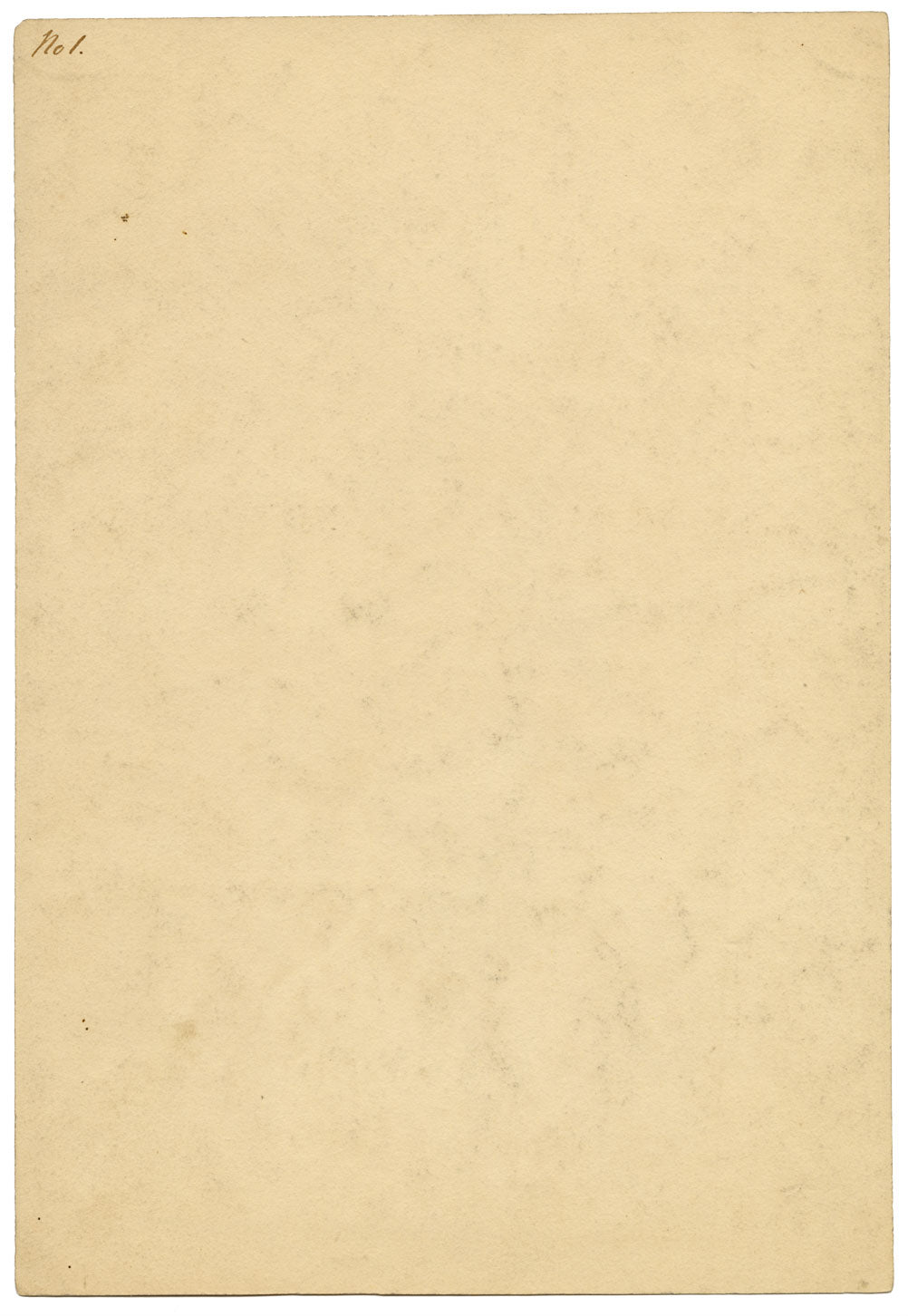 Henry Hemming, Dock Leaf Plant Study – Original 1840s watercolour painting