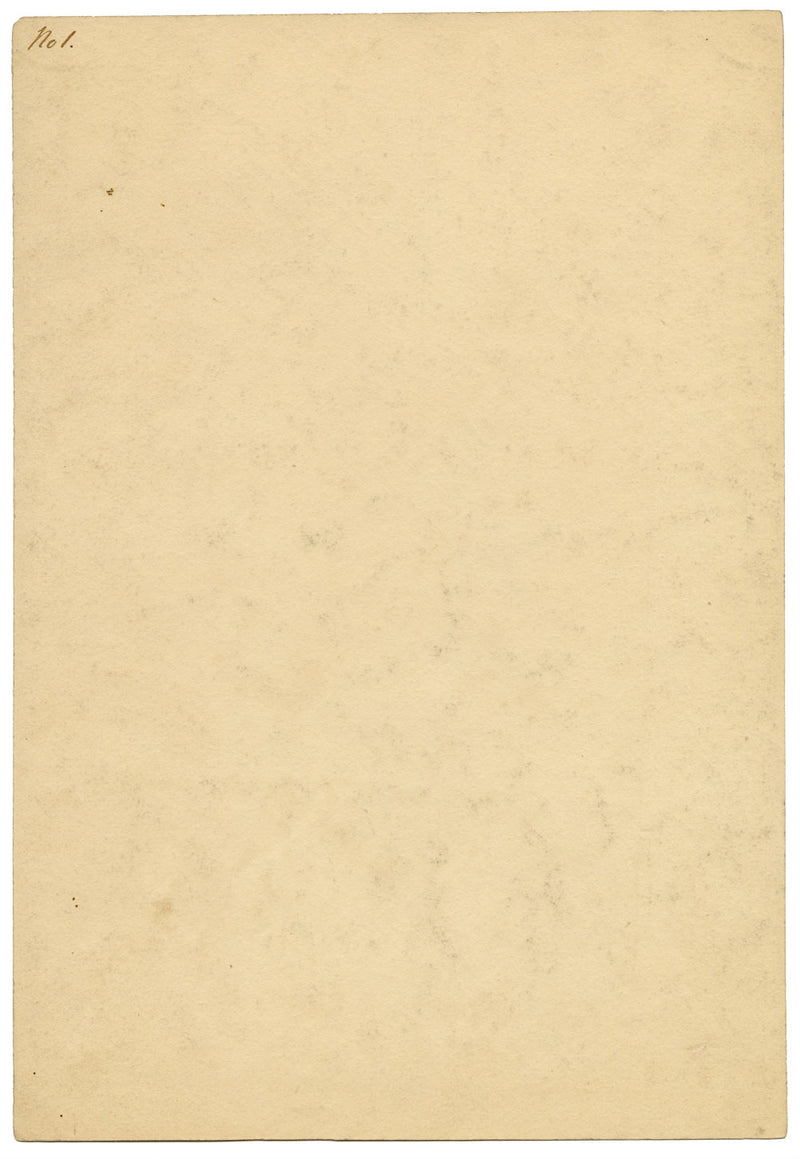 Henry Hemming, Dock Leaf Plant Study – Original 1840s watercolour painting