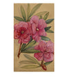 Nerium Oleander Flower, Aix-les-Bains, France – 1882 watercolour painting