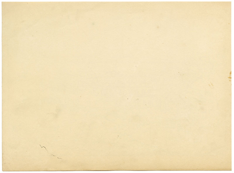 La Piccola Sentinella Hotel, Isola d'Ischia, Italy – 1851 pen & ink drawing