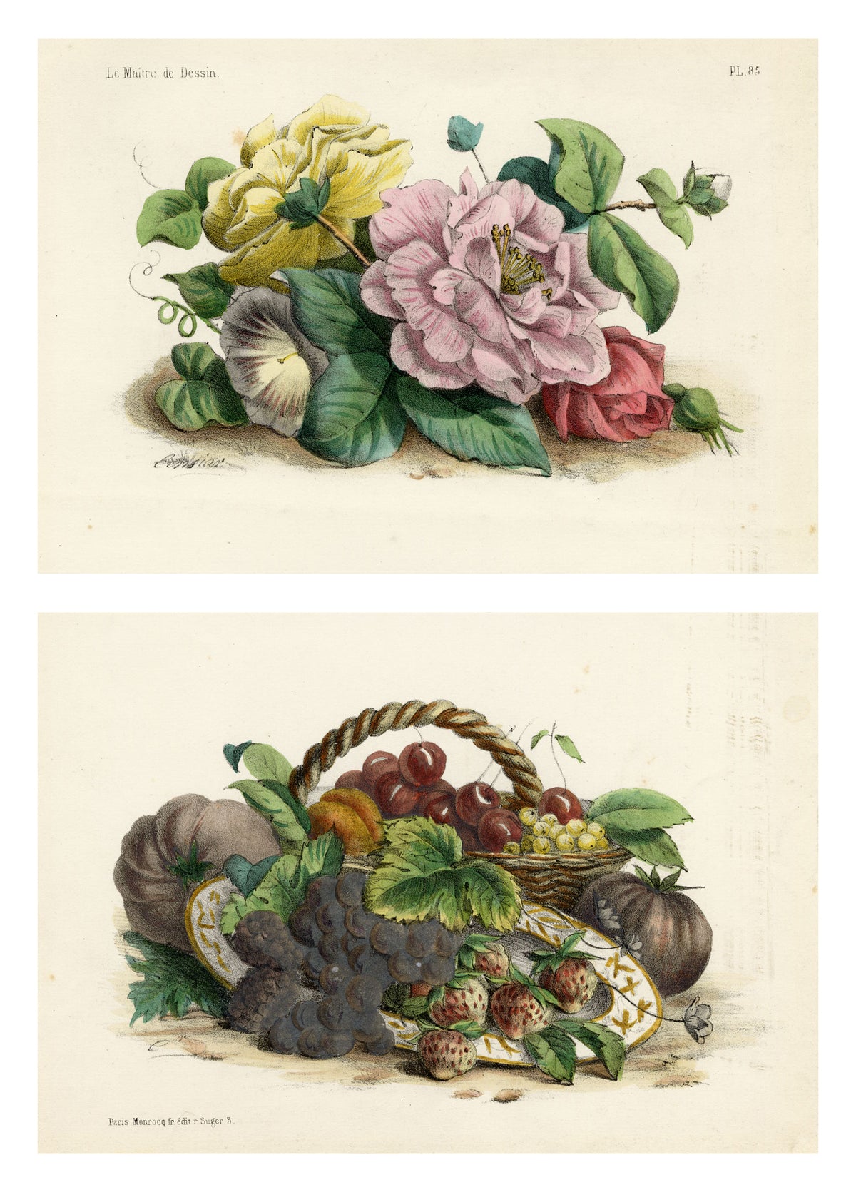 Le Maitre de Dessin: Fruit & Flowers – Pair of late 19th-century lithographs