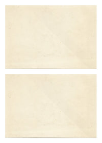 Le Maitre de Dessin: Frutta e fiori – Coppia di litografie di fine Ottocento