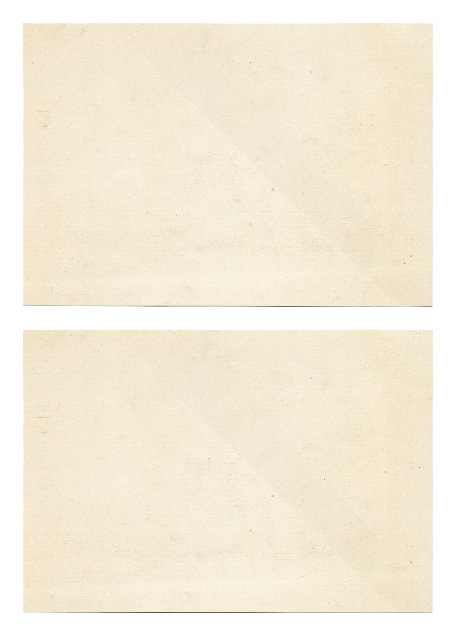 Le Maitre de Dessin: Frutta e fiori – Coppia di litografie di fine Ottocento