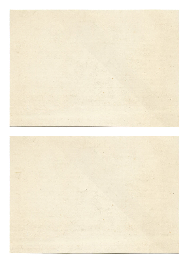 Le Maitre de Dessin: Frutta e fiori – Coppia di litografie di fine Ottocento