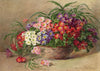 Annie L. Pressland, Primrose Flowers in a Basket – c.1920s watercolour painting