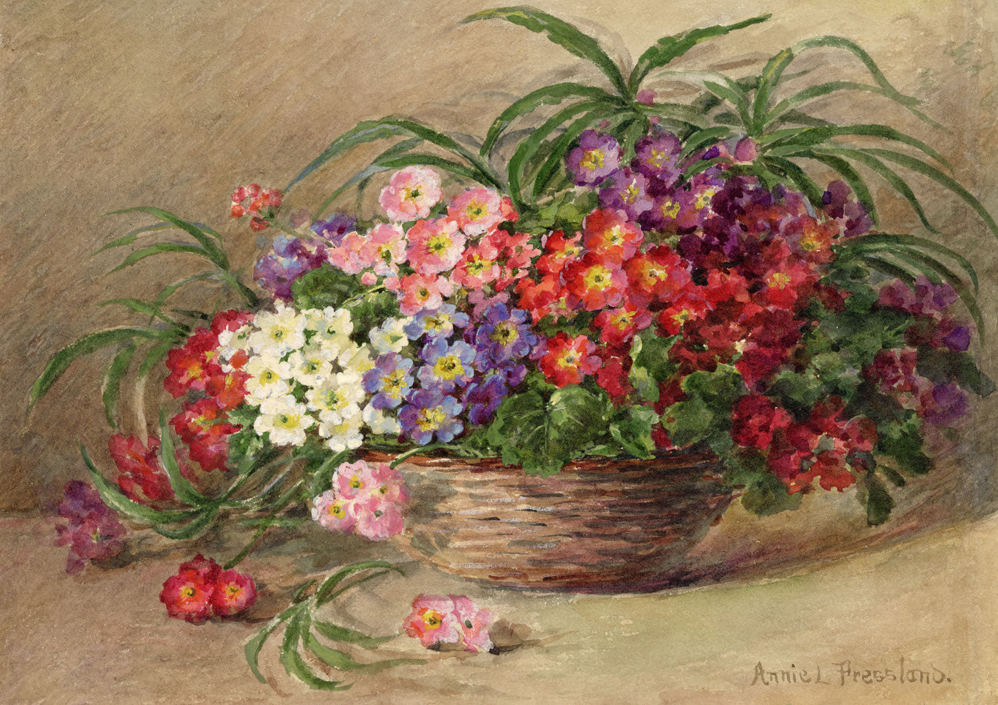 Annie L. Pressland, Primrose Flowers in a Basket – c.1920s watercolour painting