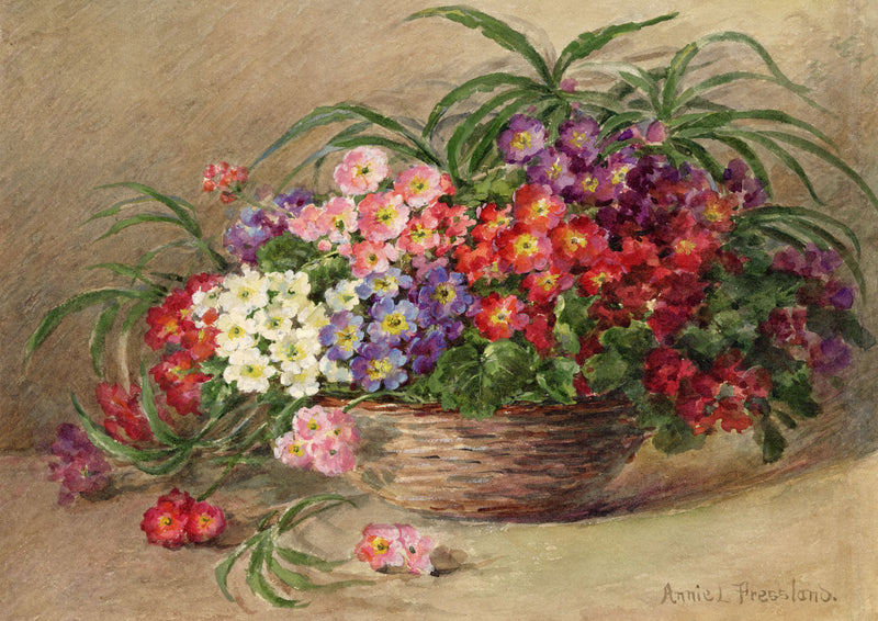Annie L. Pressland, Primrose Flowers in a Basket – c.1920s watercolour painting