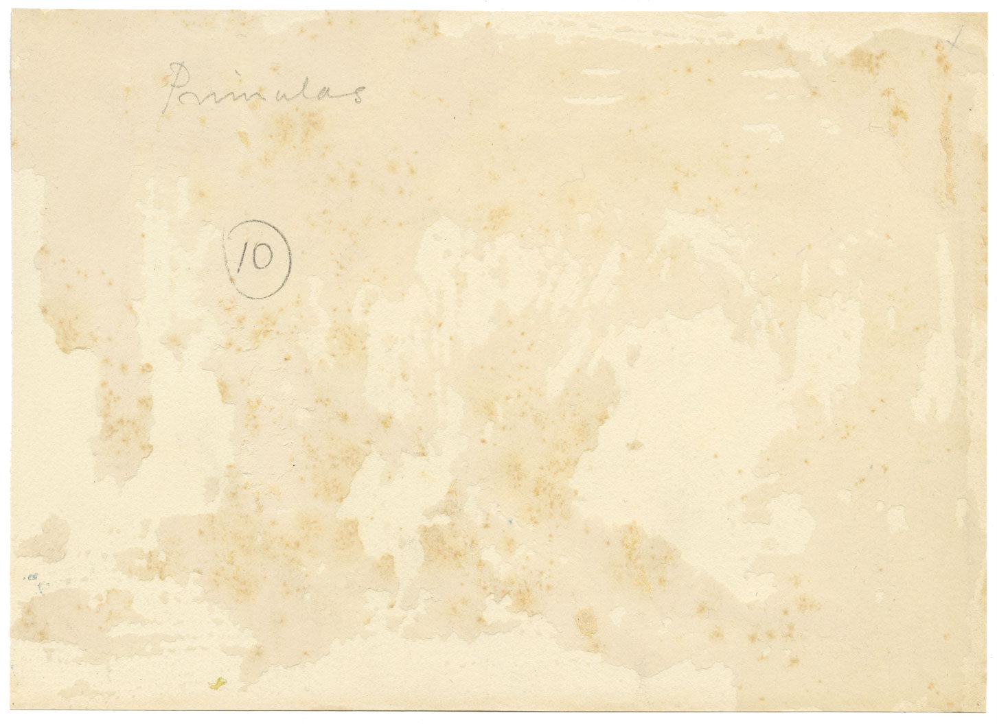 Annie L. Pressland, Primrose Flowers in a Basket – c.1920s watercolour painting