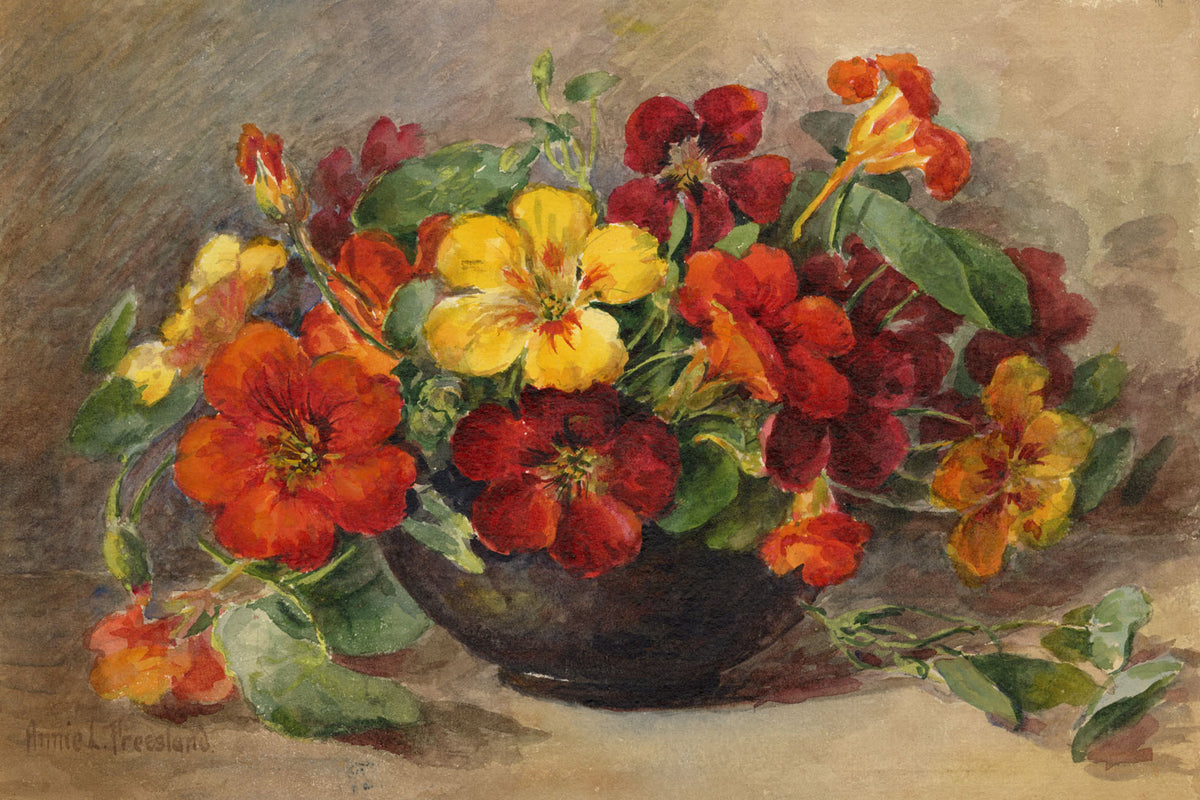 Annie L. Pressland, Nasturtium Flowers in a Bowl – c.1920s watercolour painting