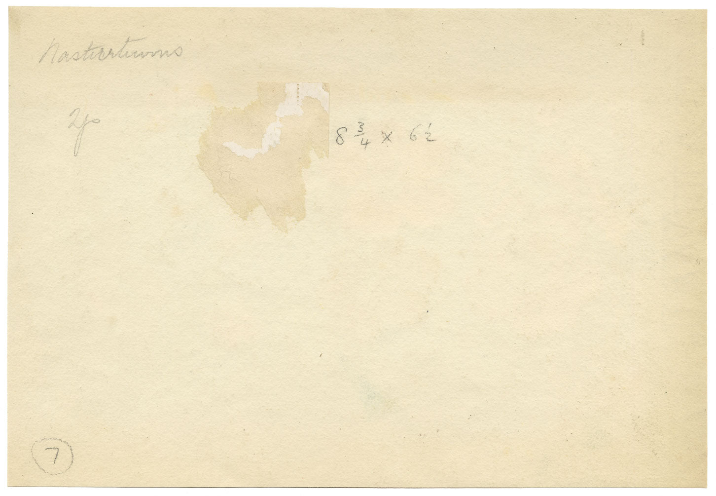 Annie L. Pressland, Nasturtium Flowers in a Bowl – c.1920s watercolour painting