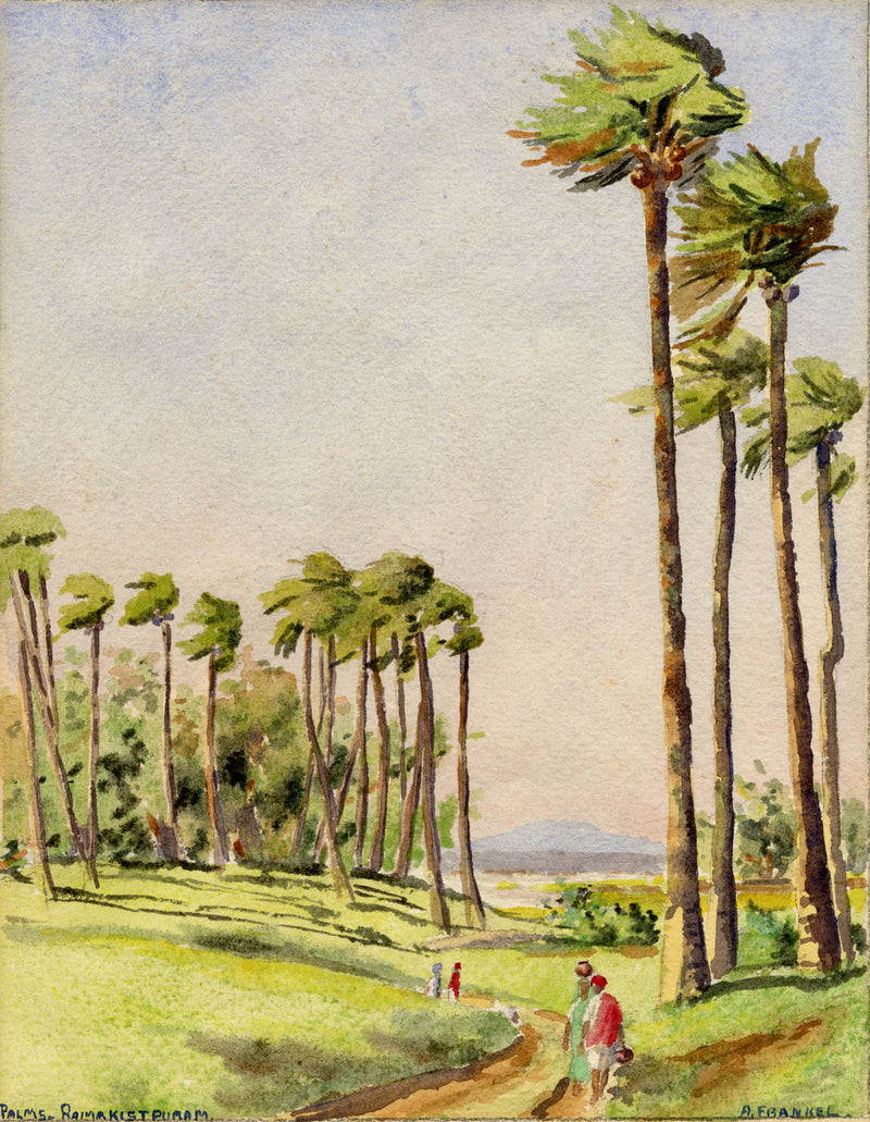 Albert Frankel, Palms, Ramakistapuram, Telangana, India –early C20th watercolour