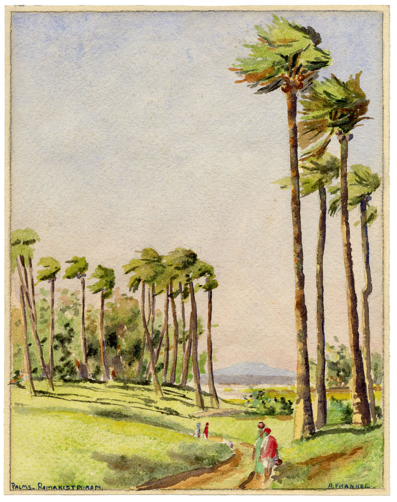 Albert Frankel, Palms, Ramakistapuram, Telangana, India –early C20th watercolour