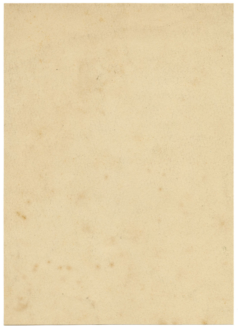 Yellow Globeflower (Trollius europaeus) – Original 1867 watercolour painting