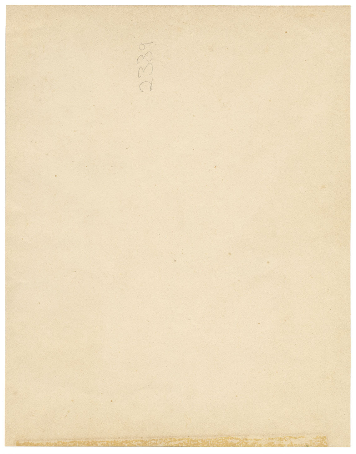 John Nugent Fitch, Orchid Cattleya Velutina – c.1880s hand-coloured lithograph