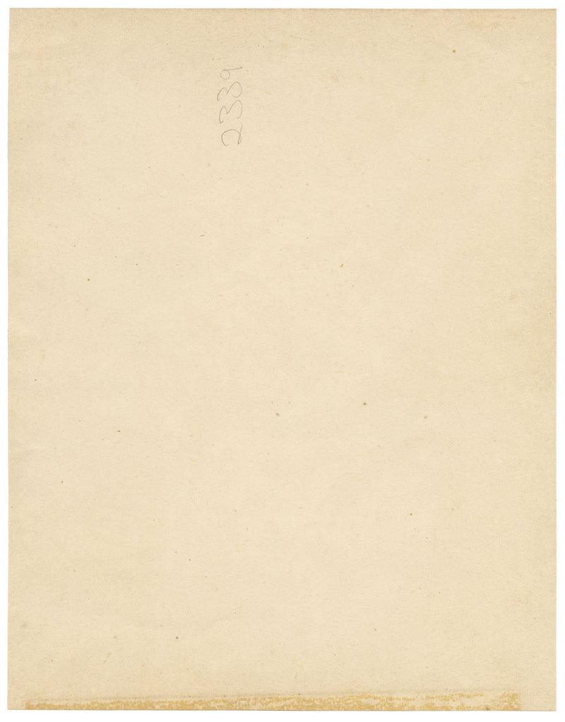 John Nugent Fitch, Orchid Cattleya Velutina – c.1880s hand-coloured lithograph