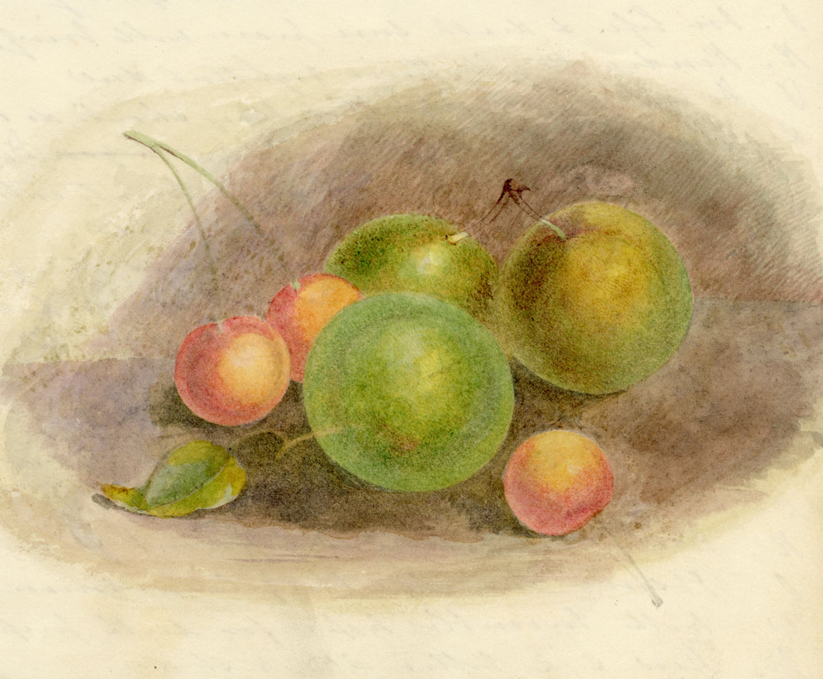 Still Life with Crab Apples & Cherries – mid-19th-century watercolour painting