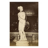 Canova's Venus Italica, Palazzo Pitti, Florence –c.1870 albumen print photograph