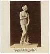 Venus de' Medici, Uffizi Gallery, Florence – c.1870 albumen print photograph