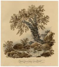 Near the Village of Trefriw, Caernarfonshire, Wales –c.1832 watercolour painting