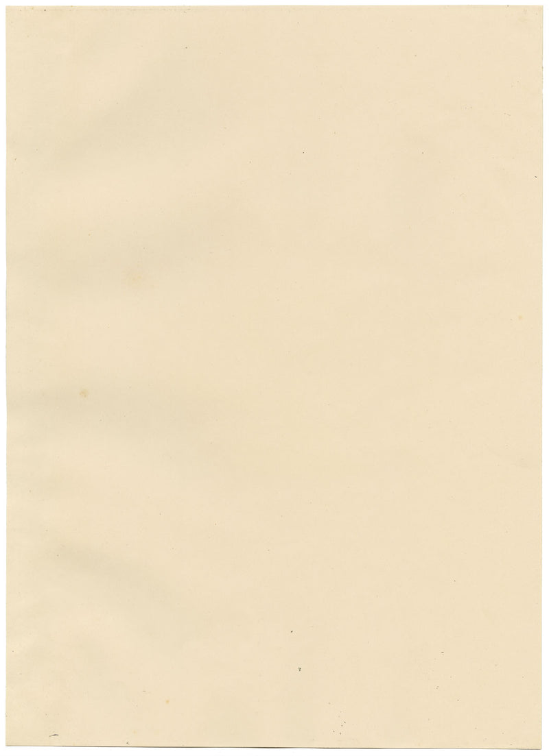 Il Ponte del Diavolo, Cardiganshire, Galles – Dipinto ad acquerello originale del 1832 circa