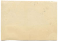 Antique 19th-century Chinese Pith Painting – Chinese Carp Fish