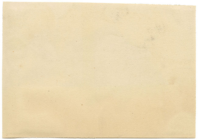 Antique 19th-century Chinese Pith Painting – Chinese Carp Fish