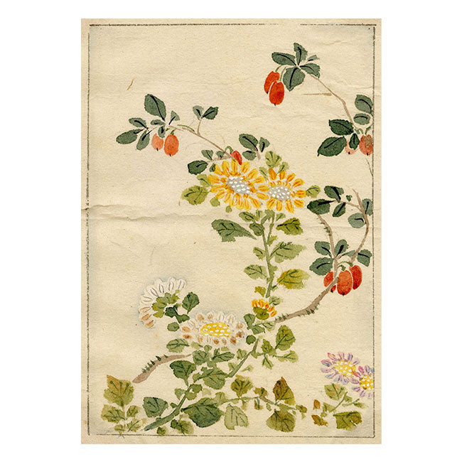 Chinese Flowers & Fruit – Original mid-C19th Qing Dynasty watercolour painting