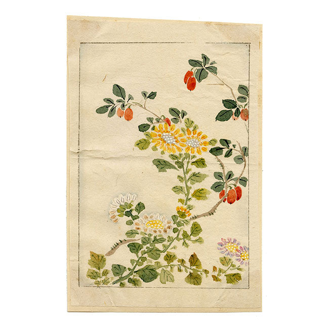 Fiori e frutta cinesi – Acquerello originale della dinastia Qing, metà del XIX secolo