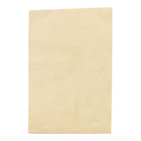 Fiori e frutta cinesi – Acquerello originale della dinastia Qing, metà del XIX secolo