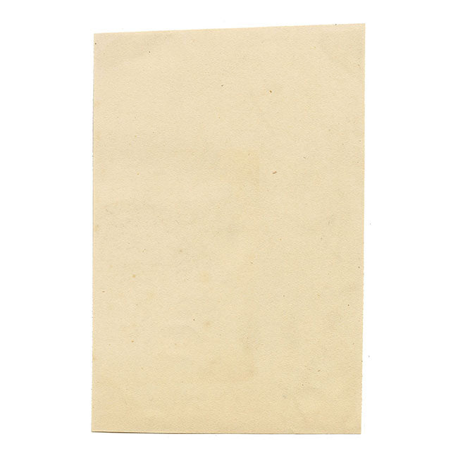 Fiori e frutta cinesi – Acquerello originale della dinastia Qing, metà del XIX secolo