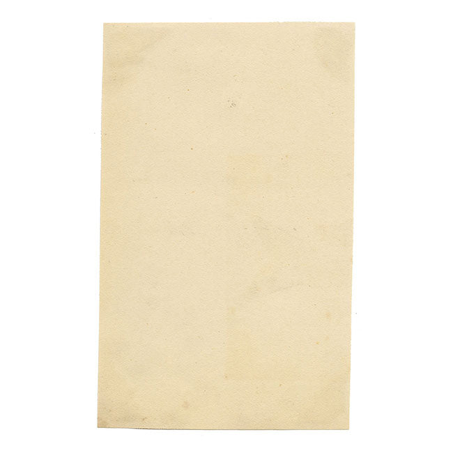 Flores de begonia chinas: acuarela original de mediados del siglo XIX de la dinastía Qing