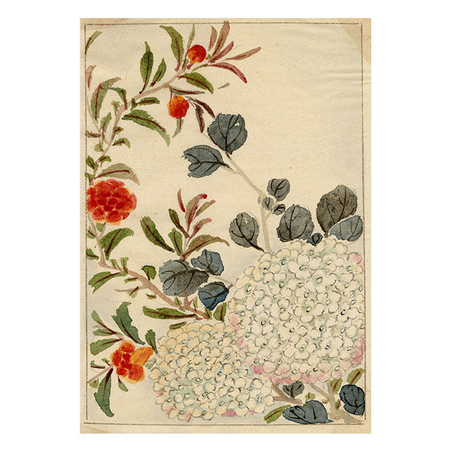 Chinese Hydrangea Flower – Original mid-C19th Qing Dynasty watercolour painting