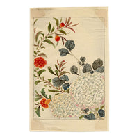 Fiore di ortensia cinese – Dipinto ad acquerello originale della dinastia Qing, metà del XIX secolo