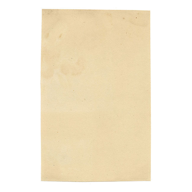 Fiore di ortensia cinese – Dipinto ad acquerello originale della dinastia Qing, metà del XIX secolo