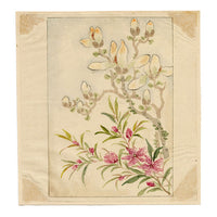 Flores de magnolia chinas: acuarela original de mediados del siglo XIX de la dinastía Qing