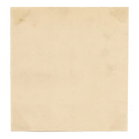 Flores de magnolia chinas: acuarela original de mediados del siglo XIX de la dinastía Qing