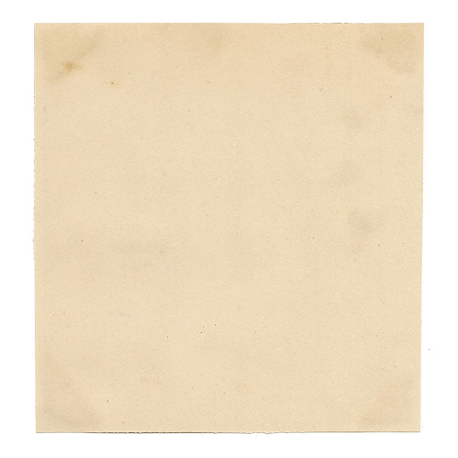 Flores de magnolia chinas: acuarela original de mediados del siglo XIX de la dinastía Qing