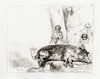 Francesco Novelli after Rembrandt, The Hog – 1860 etching print