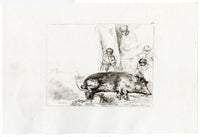 Francesco Novelli after Rembrandt, The Hog – 1860 etching print