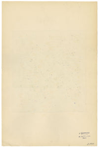 Textile Design, Atelier Testemale Paris: Ditsy Flower Check – c.1960s painting