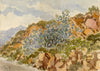 C.M. Stopford, Cactus near Nice, French Riviera – c.1880s watercolour painting