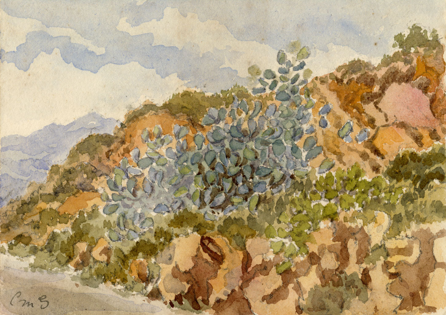 C.M. Stopford, Cactus near Nice, French Riviera – c.1880s watercolour painting