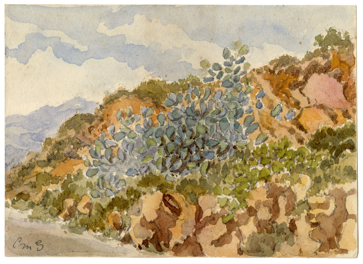 C.M. Stopford, Cactus near Nice, French Riviera – c.1880s watercolour painting