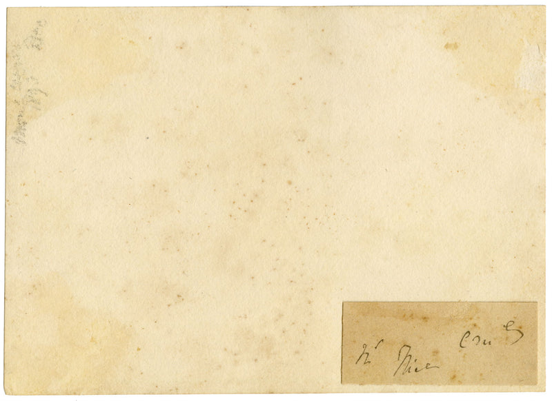 CM Stopford, Cactus vicino a Nizza, Costa Azzurra – acquerello del 1880 circa