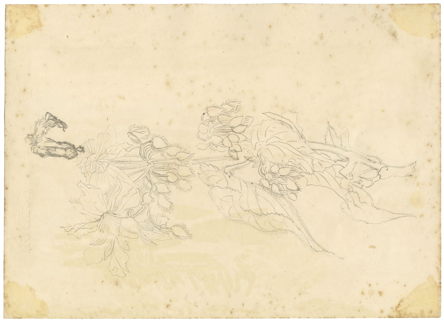 CM Stopford, Hotel California, Cannes, Costa Azzurra – acquerello del 1880 circa