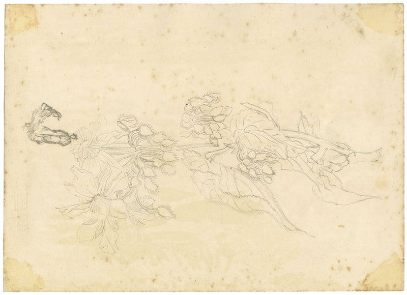 CM Stopford, Hotel California, Cannes, Costa Azzurra – acquerello del 1880 circa