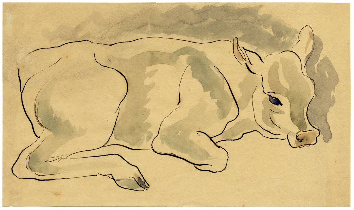 Mucca a riposo – Acquerello originale dei primi del XX secolo
